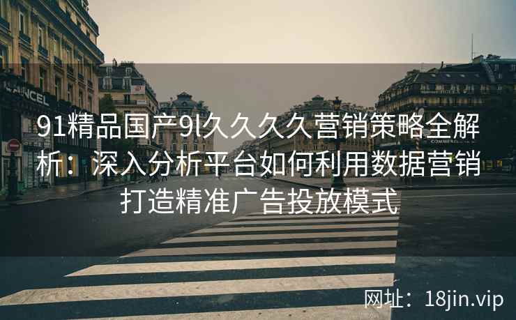 91精品国产9l久久久久营销策略全解析：深入分析平台如何利用数据营销打造精准广告投放模式